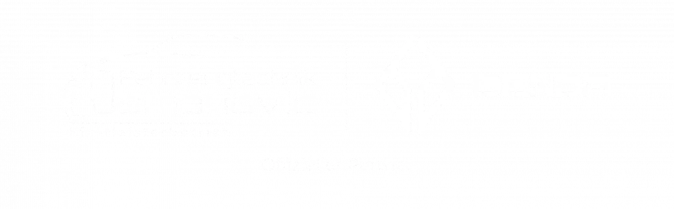 Offizieller Benda Partner